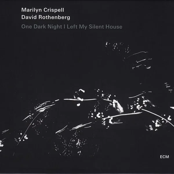 One Dark Night I Left My Silent House