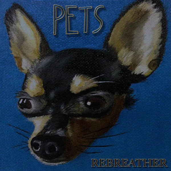 Pets / Orange Crush