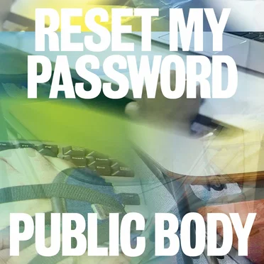 Reset My Password by Public Body - album cover