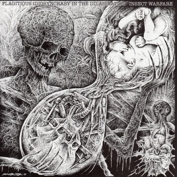 Flagitious Idiosyncrasy in the Dilapidation / Insect Warfare