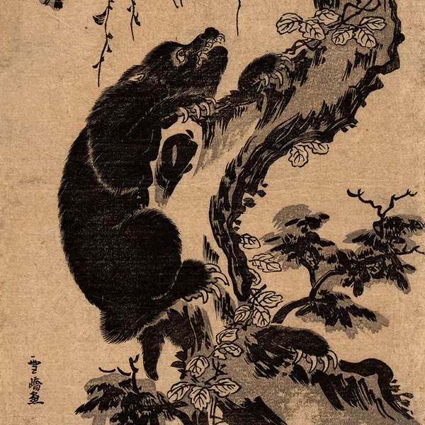 クロクマMIX