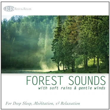 Forest Sounds: With Soft Rains & Gentle Winds