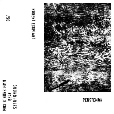 Penstemon by Robert Eggplant - album cover