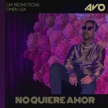 No Quiere Amor