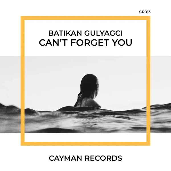 Can't Forget You