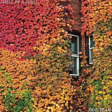Away Team by Shell of a Shell - album cover