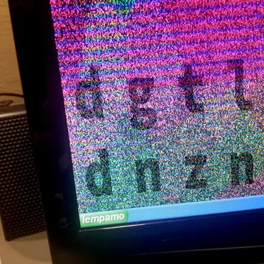 dgtl dnzn