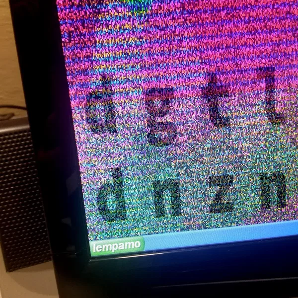dgtl dnzn