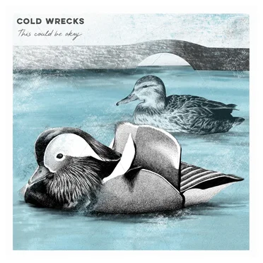 This Could Be Okay by Cold Wrecks - album cover