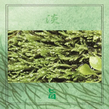 淡旨 / Tanshi by 野流 / Yaryu - album cover