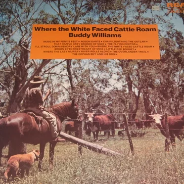 Where the White Faced Cattle Roam