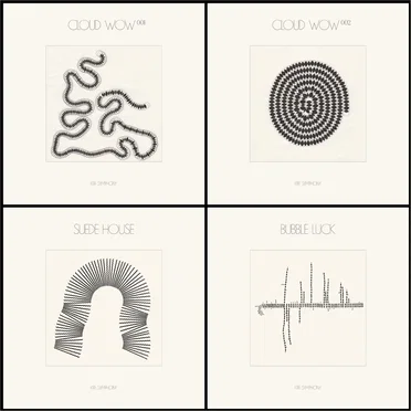 Kite Symphony, Four Variations by Roberto Carlos Lange - album cover