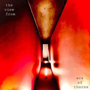 the view from by Ace Of Thorns - album cover