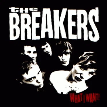 What I Want by The Breakers - album cover