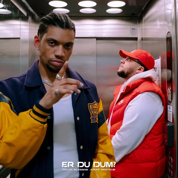 Er Du Dum?