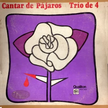 Cantar de pájaros by Trío de Cuatro - album cover