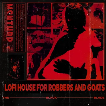 LOFI HOUSE FOR ROBBERS AND GOATS