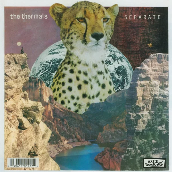 Record Store Day Split