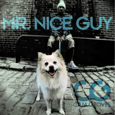 Mr. Nice Guy