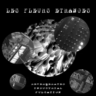 Reverberated Industrial Pulsation by Les Fleurs Etranges - album cover