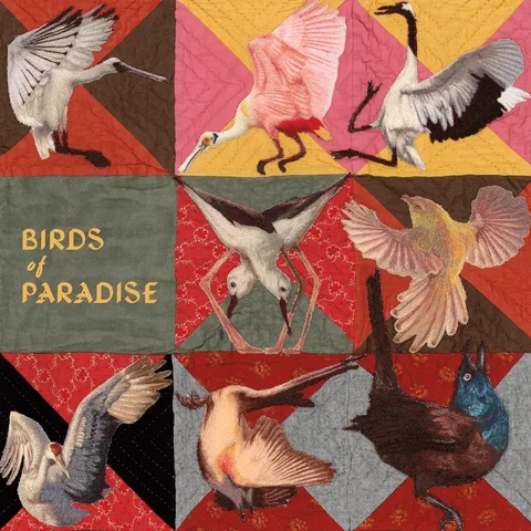 Birds of Paradise