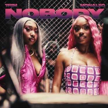 Nobody (remix) by Trim - album cover