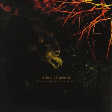 The Forest That Shelters / Filament