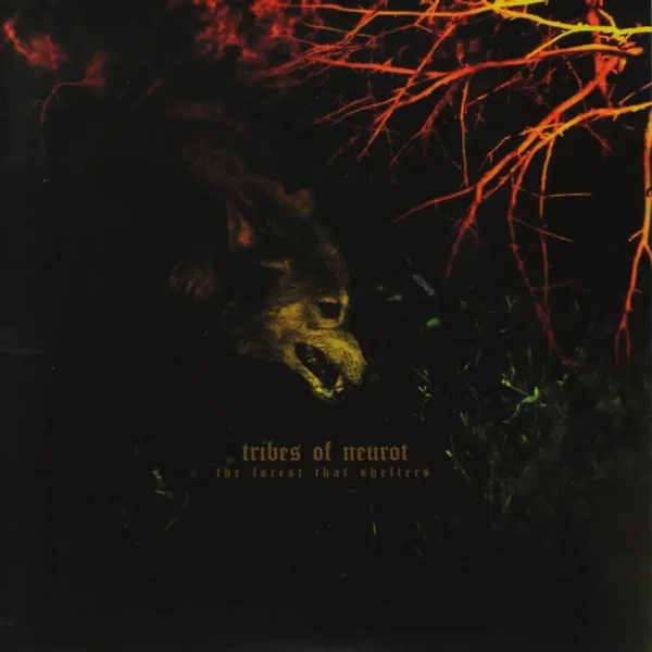 The Forest That Shelters / Filament