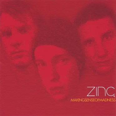 Makingsenseofmadness by Zinc - album cover