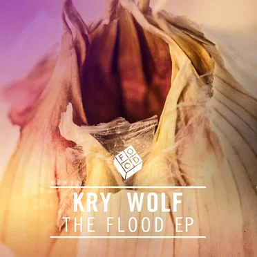 The Flood EP by Kry Wolf - album cover