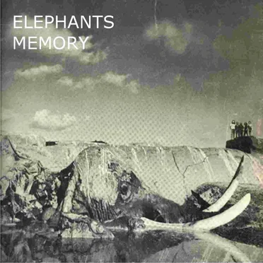 Elephant's Memory