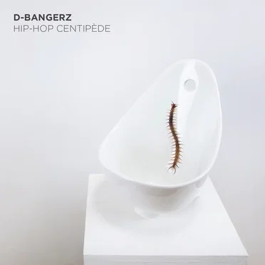 Hip-Hop centipède by D-BangerZ - album cover