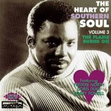 The Heart of Southern Soul, Volume 3: The Flame Burns On by Various Artists - album cover