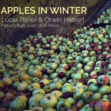 Apples In Winter