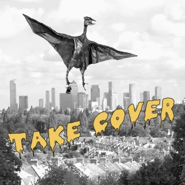 Take Cover