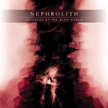 Nephrolith