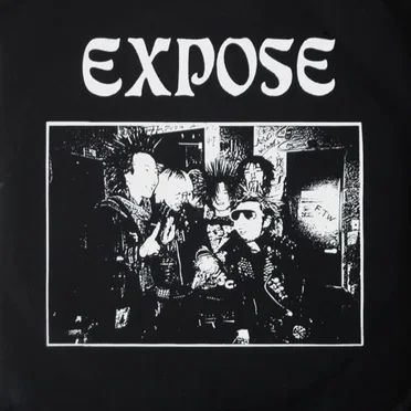 Complicated Mind by Expose - album cover