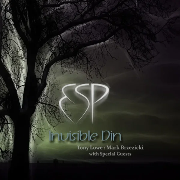 Invisible Din