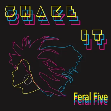 Shake It by Feral Five - album cover