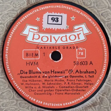 Die Blume von Hawaii