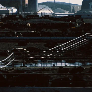 We Won’t Always Love You