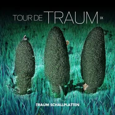 Tour de Traum IX by Various Artists - album cover