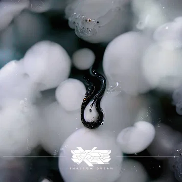Shallow Dream by Cel Genesis - album cover