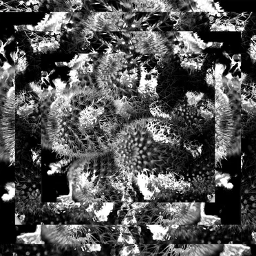 Thorn Flux