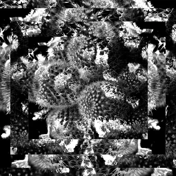 Thorn Flux
