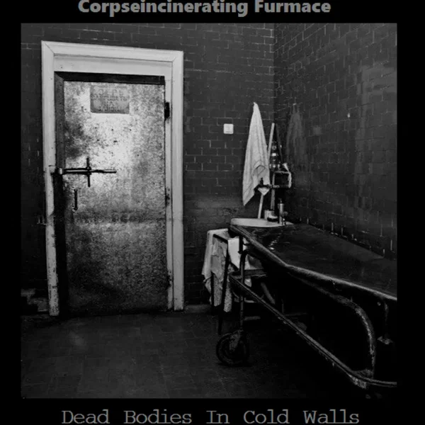 Dead Bodies in Cold Walls