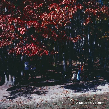 Golden Velvet by Judge Roy Scream - album cover