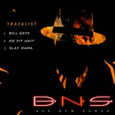 No Bad Songs (N.B.S) by Robinking - album cover