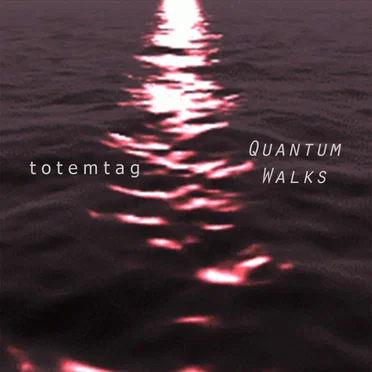Quantum Walks