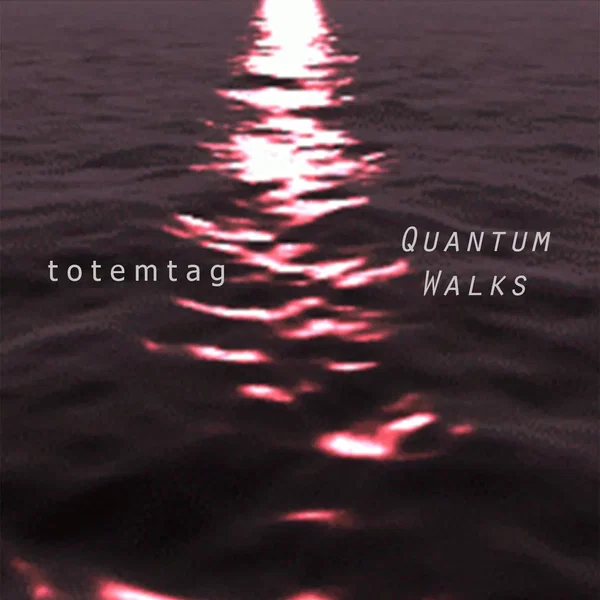 Quantum Walks